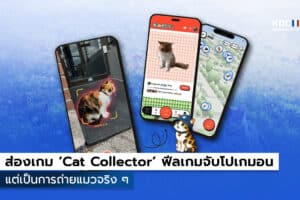 Cat Collector