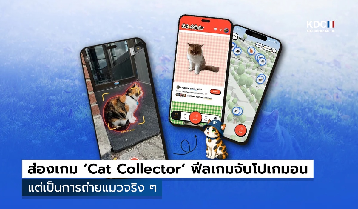 Cat Collector