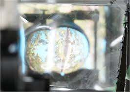 images 1 1